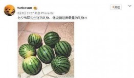 网红热瓜,揭秘网络红人的崛起与争议