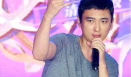 明星黑料进入口,真相与误解的交织